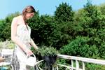 green basics balkonbak allin1 70cm living black